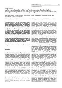 SHORTREPORTmafAanovelmemberofthemafprotooncogenefamilydisplaysdevel