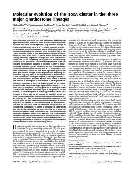 MolecularevolutionoftheHoxAclusterinthethreemajorgnathostomelineagesCh