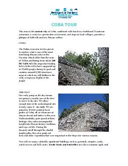 This tour to the ancient city of Coba combined with lunch in a tradit