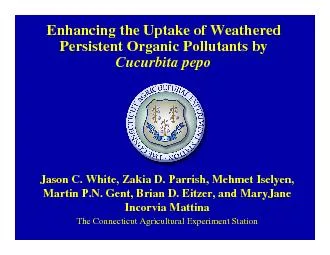 Enhancing the Uptake of Weathered Persistent Organic Pollutants by
