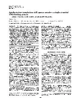 ProcNatlAcadSciUSAVol85pp29092913May1988BiochemistryAgrobacte