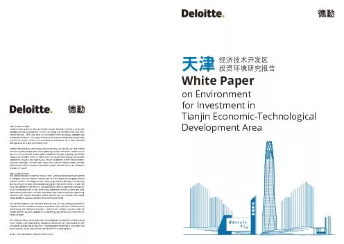 White Paper on Environment for Investment in