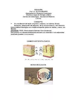 CELULITISProf Lic ALICIA MEIRIOEspecialista en Docencia Universit