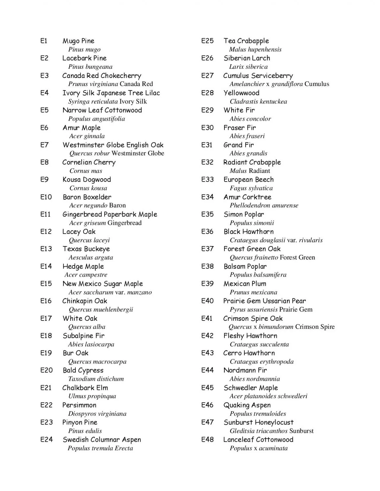 PDF-n Pinus mugo rn Pinus bungeana