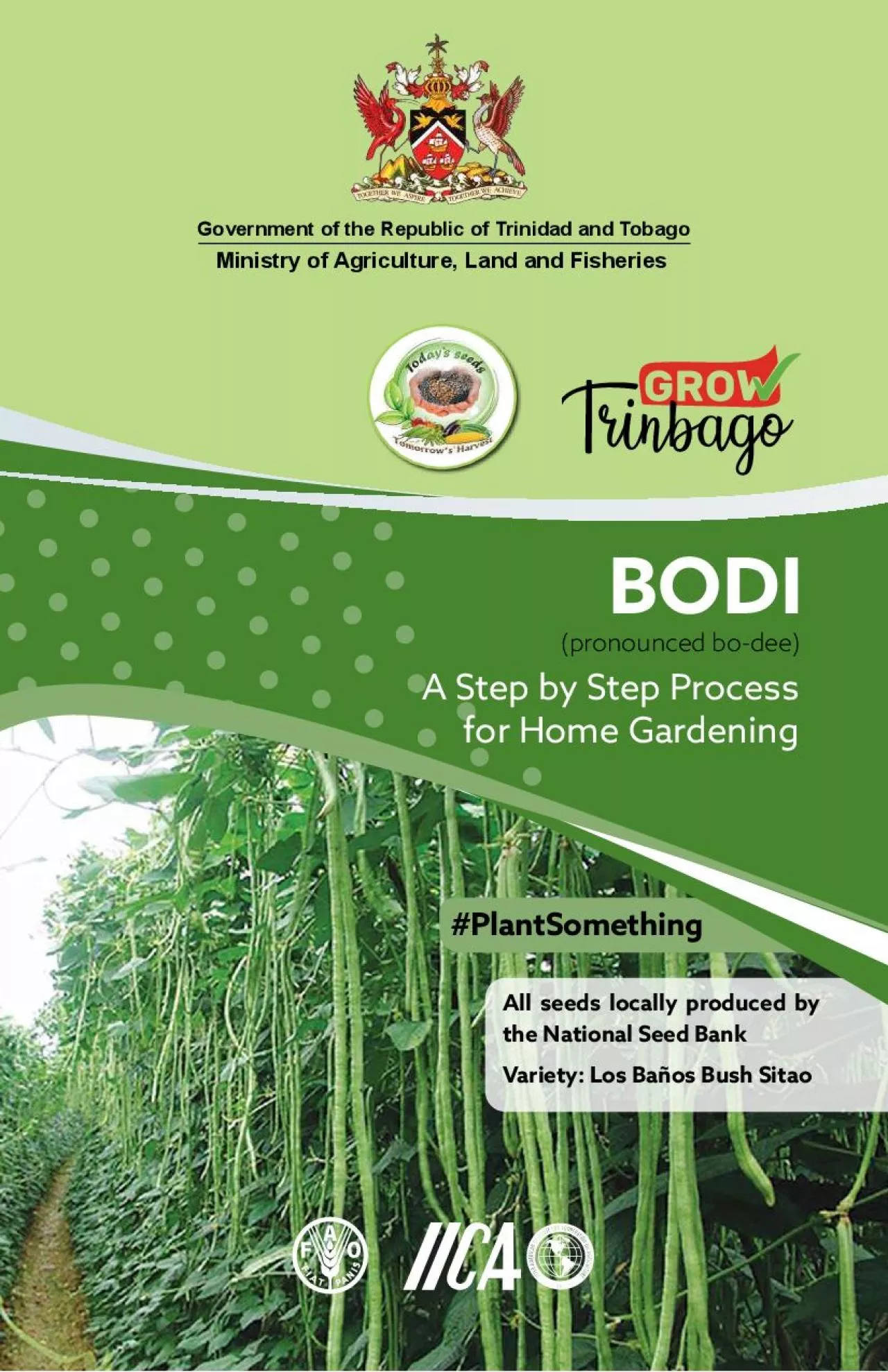 PDF-WHY grow Bodi Because itis a lowmaintenance home garden food plant t