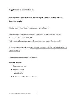 All S enterica serovar Typhimurium strains are derived from strain