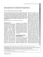 Development of Zebrafish Epidermis WeiJen Chang and Pu