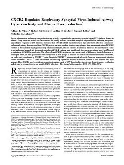 CXCR2RegulatesRespiratorySyncytialVirusInducedAirwayHyperreactivityan