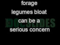 forage legumes bloat can be a serious concern