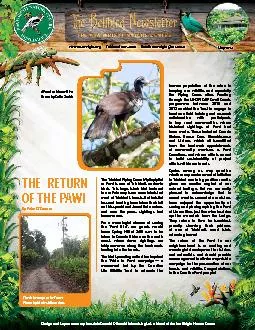 PDF-OF THE PAWIBy Peter O146ConnorDesign and Layout courtesy Lonsdale S