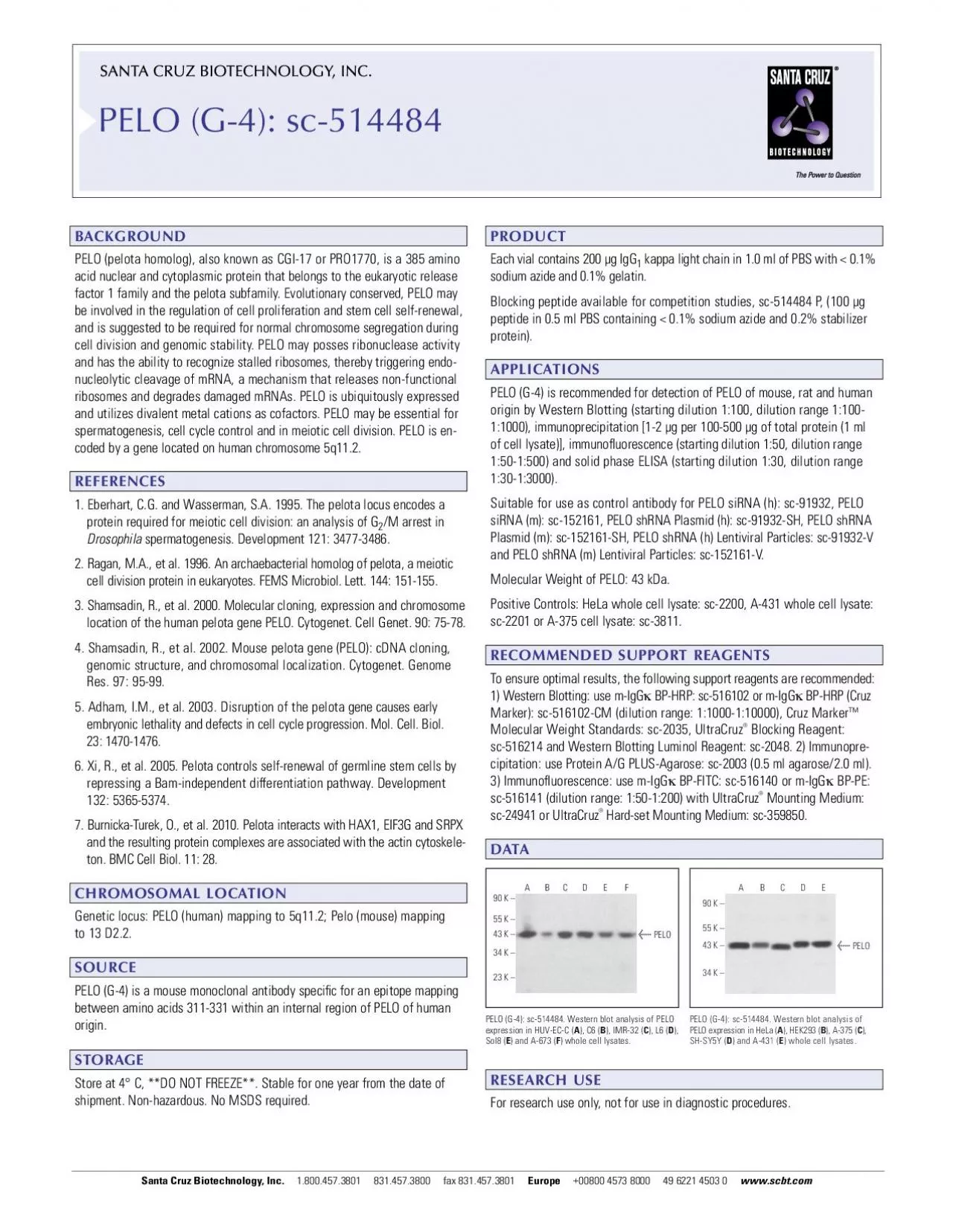 PDF-SANACUZBITECHNOLOGNC