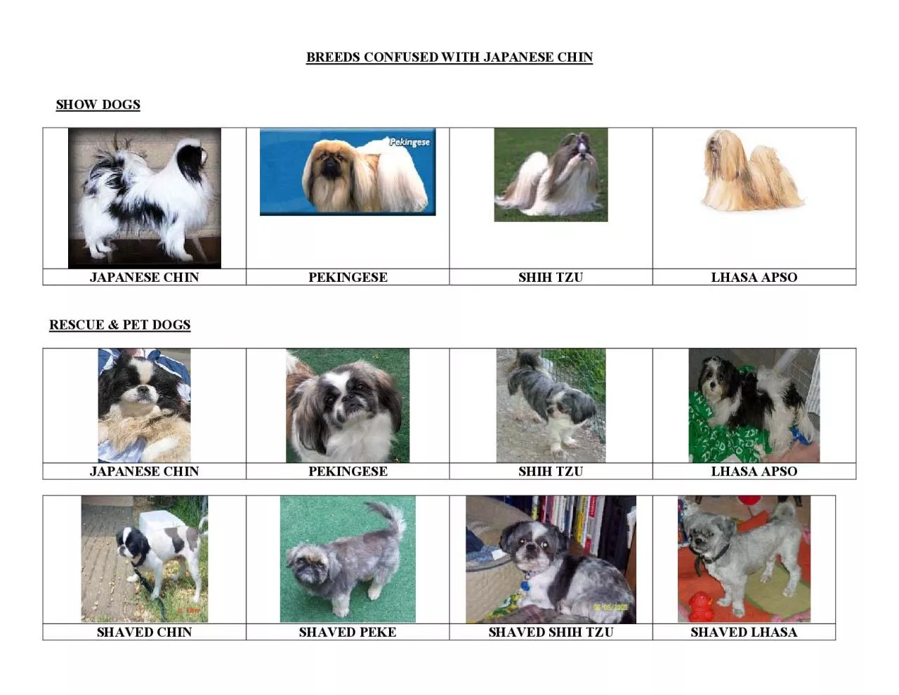 PDF-BREEDS CONFUSED WITH JAPANESE CHIN