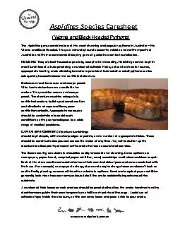 Aspidites-Woma-and-Black-Headed-Python-Care-Sheet.pdf