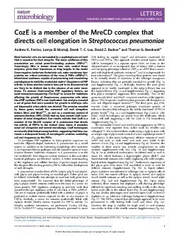 CozEisamemberoftheMreCDcomplexthatdirectscellelongationinStreptococcus