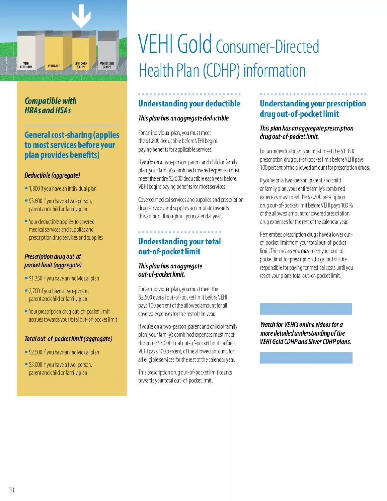 PDF-VEHI Gold ConsumerDirectedHealth Plan CDHP information