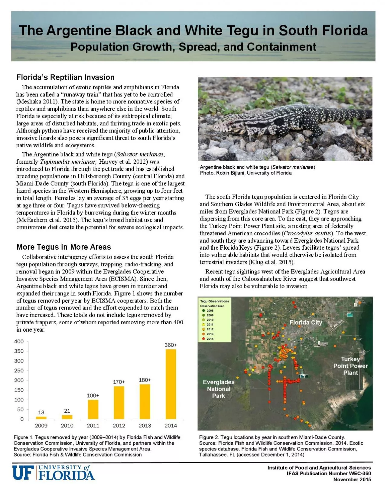 PDF-The Argentine Black and White Tegu in South Florida