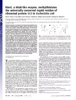 RimOaMiaBlikeenzymemethylthiolatestheuniversallyconservedAsp88resid