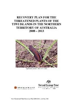 Recovery plan for the threatened plants of the Tiwi Islands in the Nor