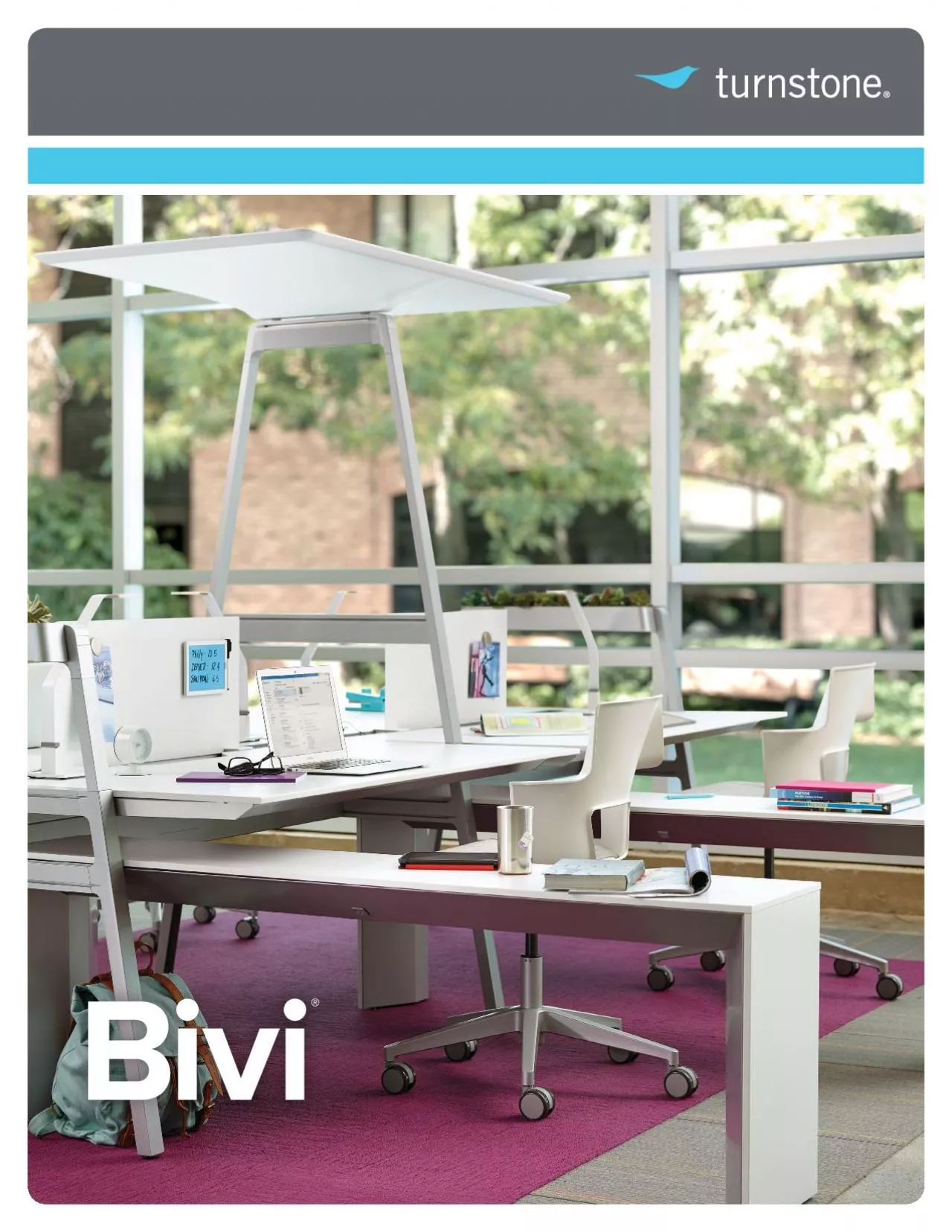 PDF-bivi-brochure.pdf