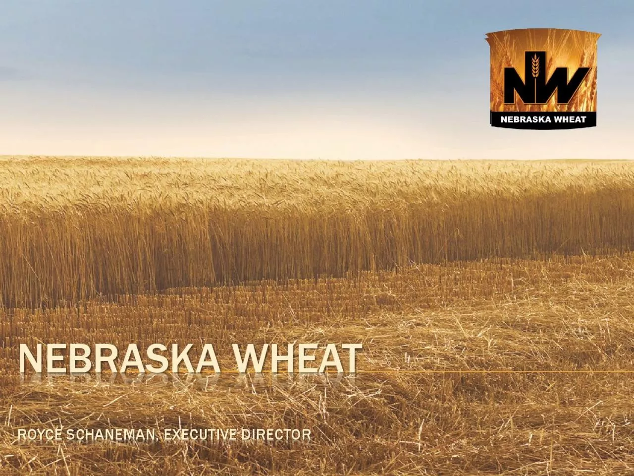 PDF-NEBRASKA WHEAT