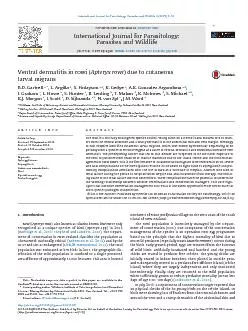 PDF-VentraldermatitisinrowiApteryxrowiduetocutaneouslarvalmigrans