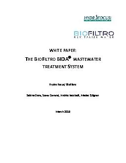 WHITE PAPER