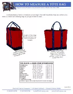 Target Field Bag Policy 2023 And MN Twins Prohibited Rules
