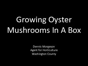 PDF-Growing Oyster Mushrooms In A BoxDennis MorgesonAgent for Horticulture