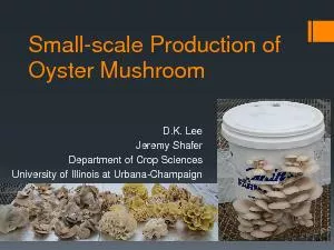 scale Production of
