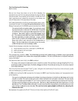 The Pumi Coat and Its Grooming
