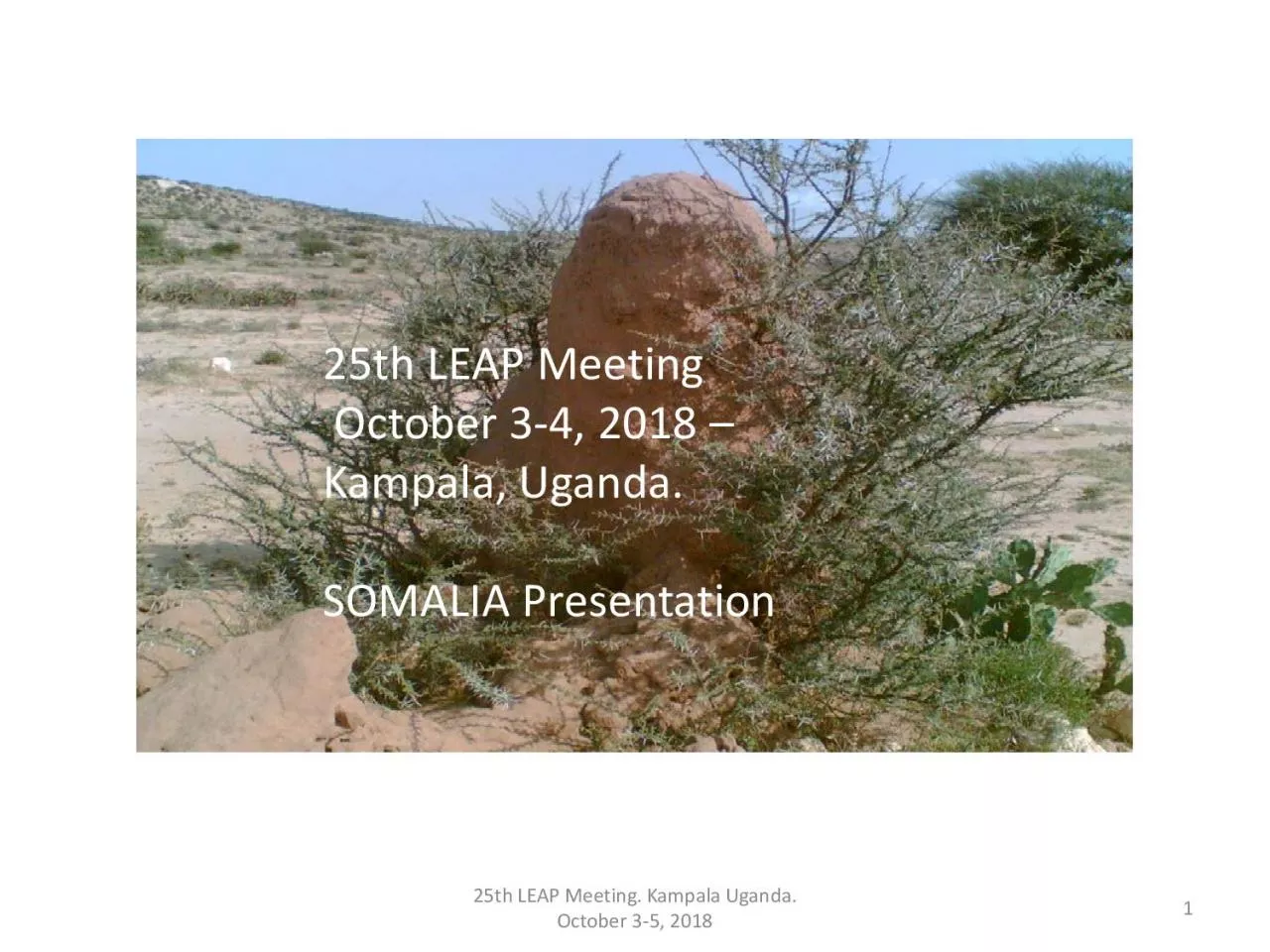 PDF-25th LEAP Meeting October 2018 Kampala UgandaSOMALIA Presentationx