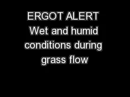 ERGOT ALERT Wet and humid conditions during grass flow