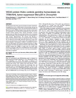 STEMCELLSANDREGENERATIONRESEARCHARTICLEWD40proteinWuhocontrolsgermline