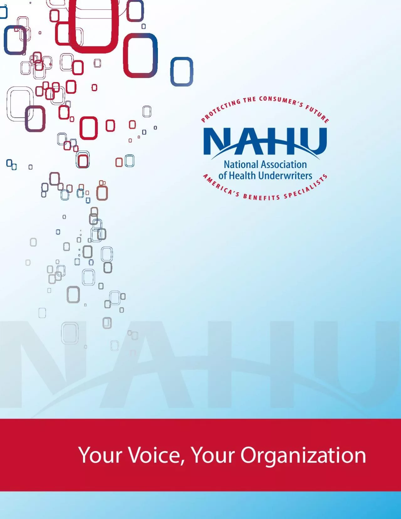 PDF-Your Voice Your Organization