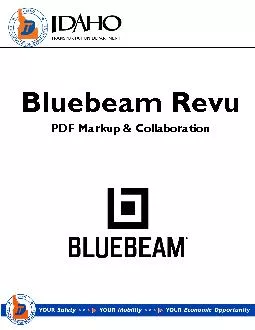 Bluebeam Revu