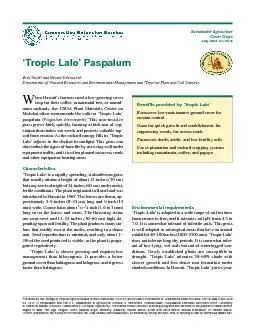 Benefits provided by Tropic LaloOLERATESincluding macadamia coffee