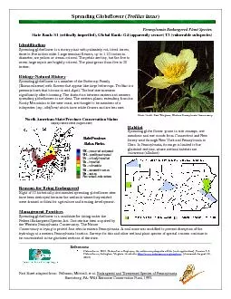 PDF-Spreading Globeflower Trollius laxusFact Sheet adapted from Felbaum