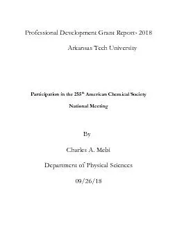 Professional Development Grant Report