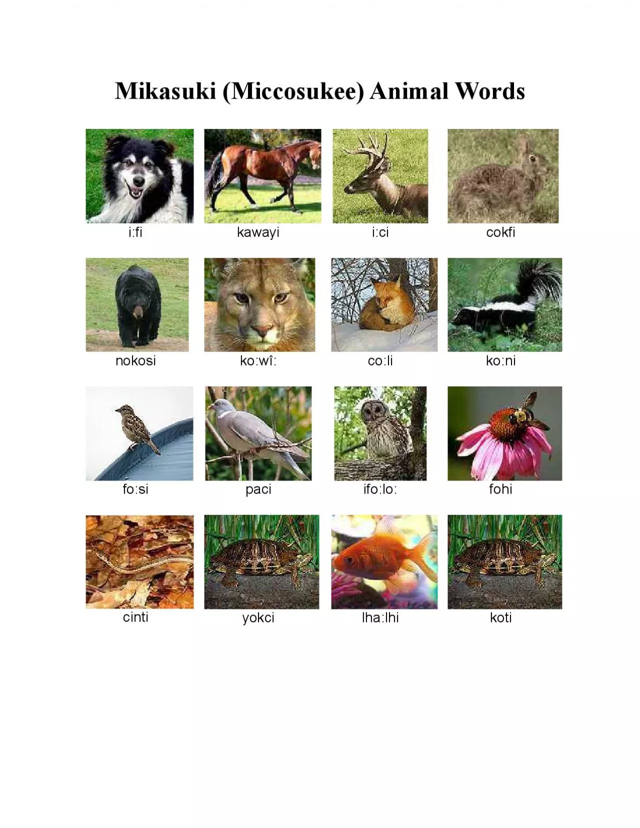 PDF-Mikasuki Miccosukee Animal Words