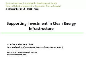 Supporting Investment in Clean Energy InfrastructureDr Brian P Flann