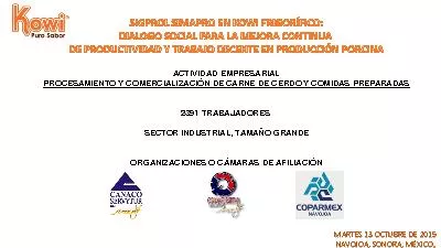 ACTIVIDAD EMPRESARIAL