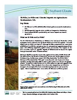 El Nio La Nia and Climate Impacts on Agriculture