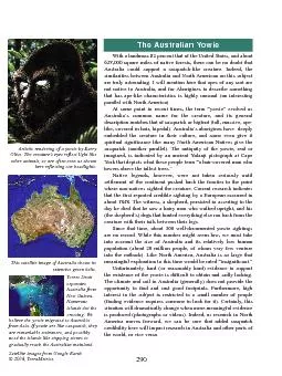 PDF-The Australian Yowie