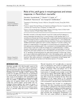 RoleofthegeneinmorphogenesisandstressresponseinPenicilliummarneffeiSum