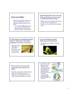 Genes and Alleles