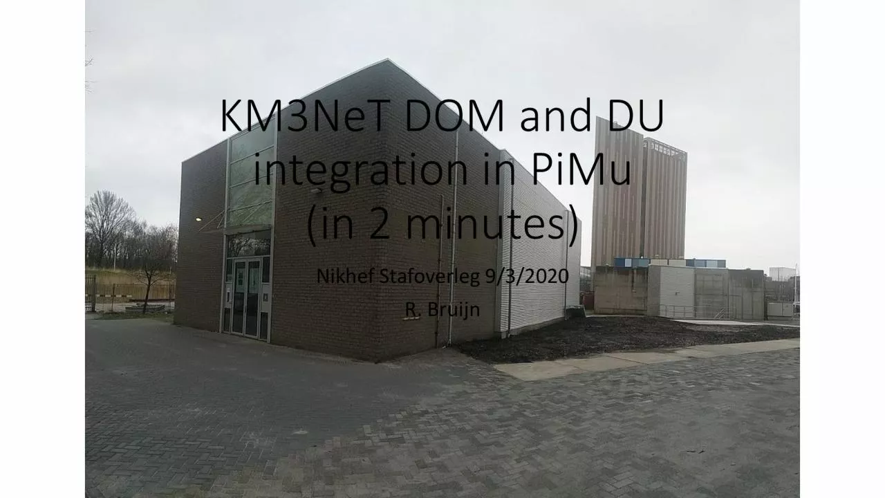 PDF-KM3NeT DOM and DU