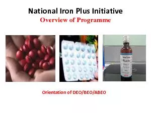 PDF-National Iron Plus Initiative