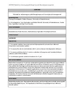 x0000x0000AGR1202 Potential for enhancing pea yield through impr