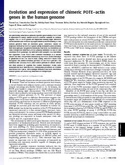 EvolutionandexpressionofchimericPOTEactingenesinthehumangenomeYoomiLe