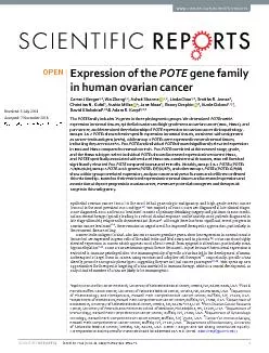 Expression of the POTE gene family in human ovarian cancer